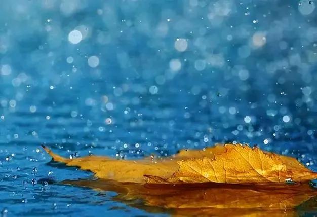 #秋雨无情伤叶落；诚邀下联#