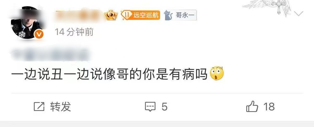 对喽！就是npc长相 