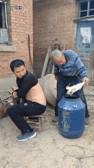 什么湿气，什么寒气，在大爷的拔罐技术面前，都是不值一提的！