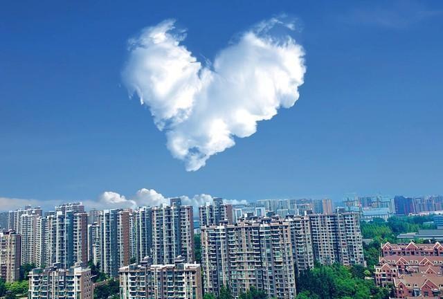2024年初雾霾又来“搞事情”了！辽宁、河北、北京、天津、宁夏北部等地大雾笼罩，