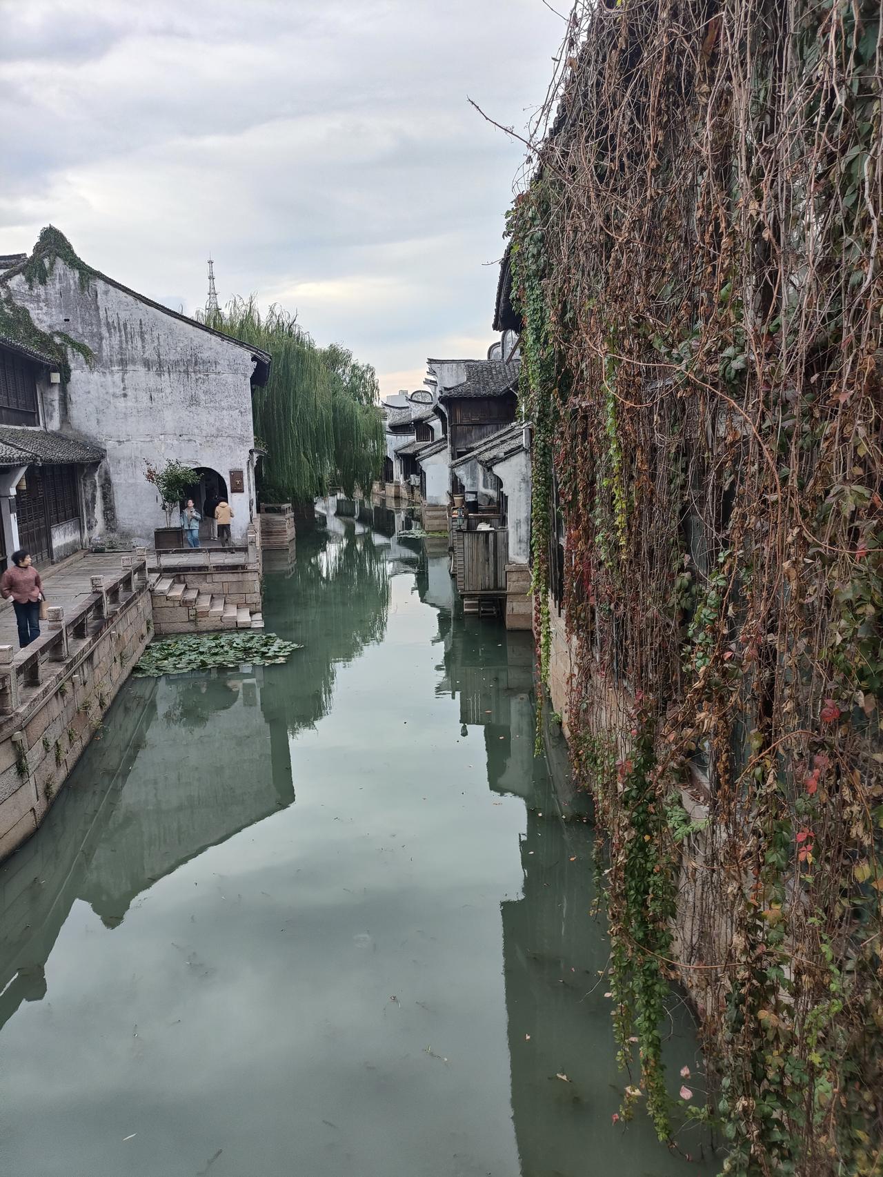 冬日生活打卡季