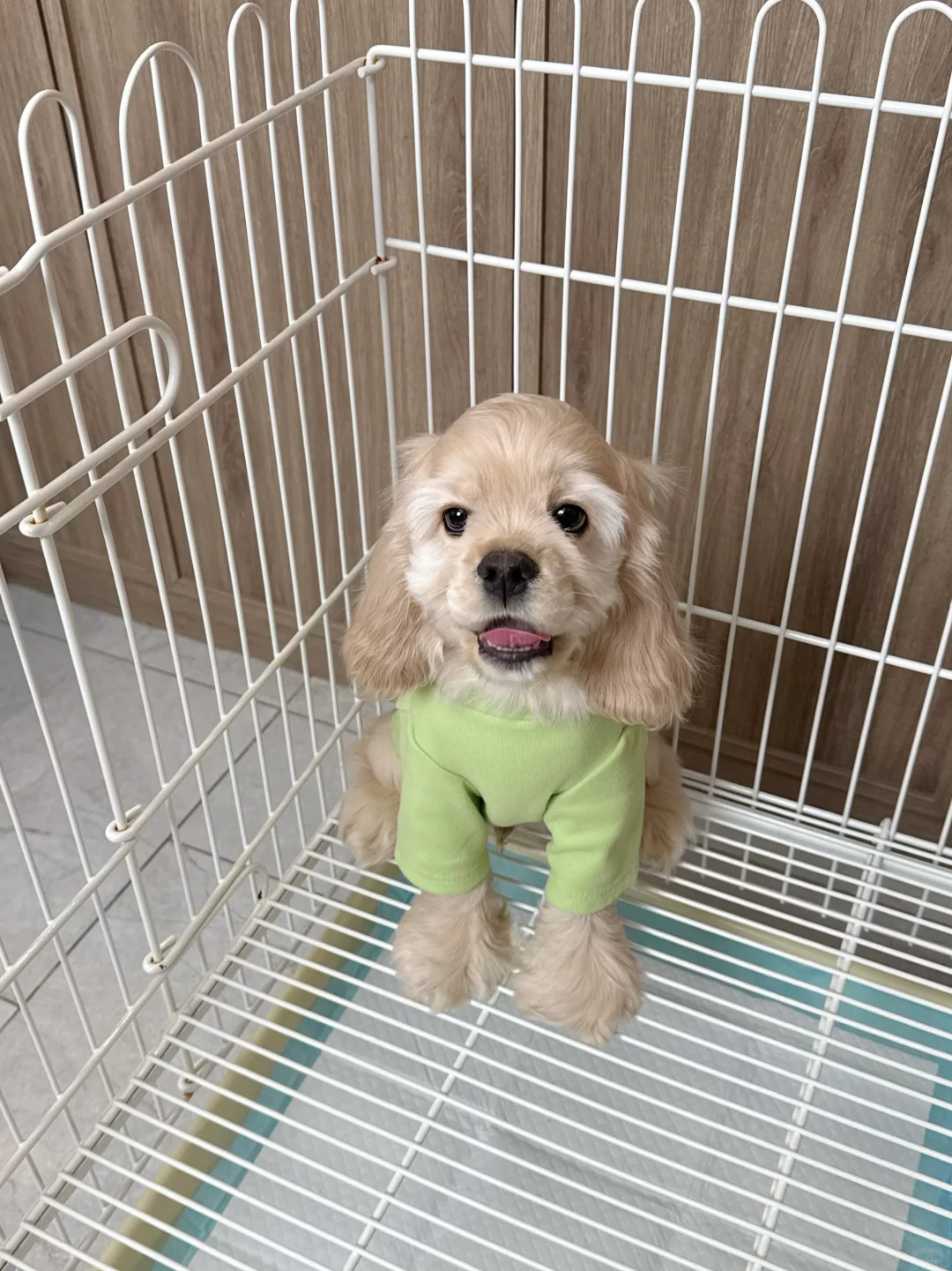 美卡｜明媚小宝