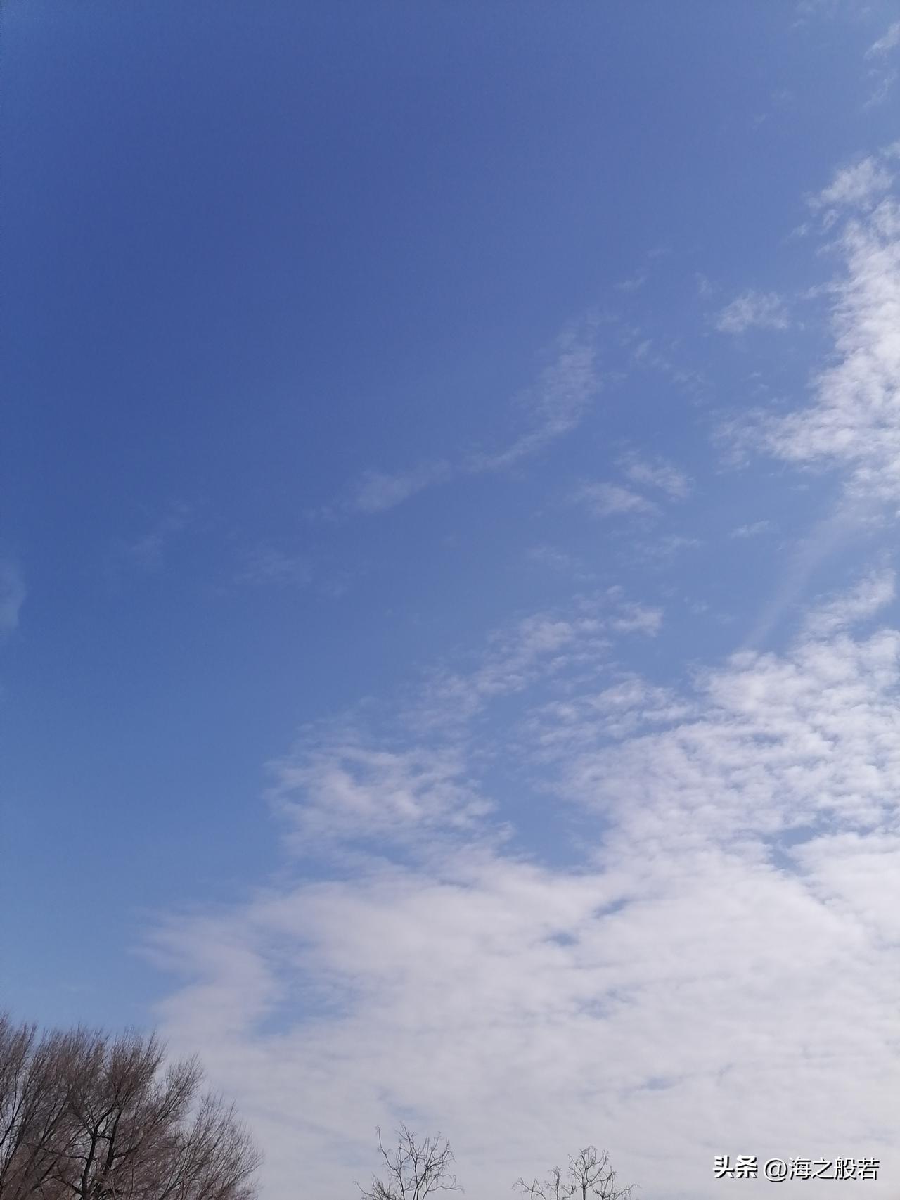 不上班，不上班。自由，时间自由，身心自由，今天不用早起。

看朋友圈一姐妹儿，风