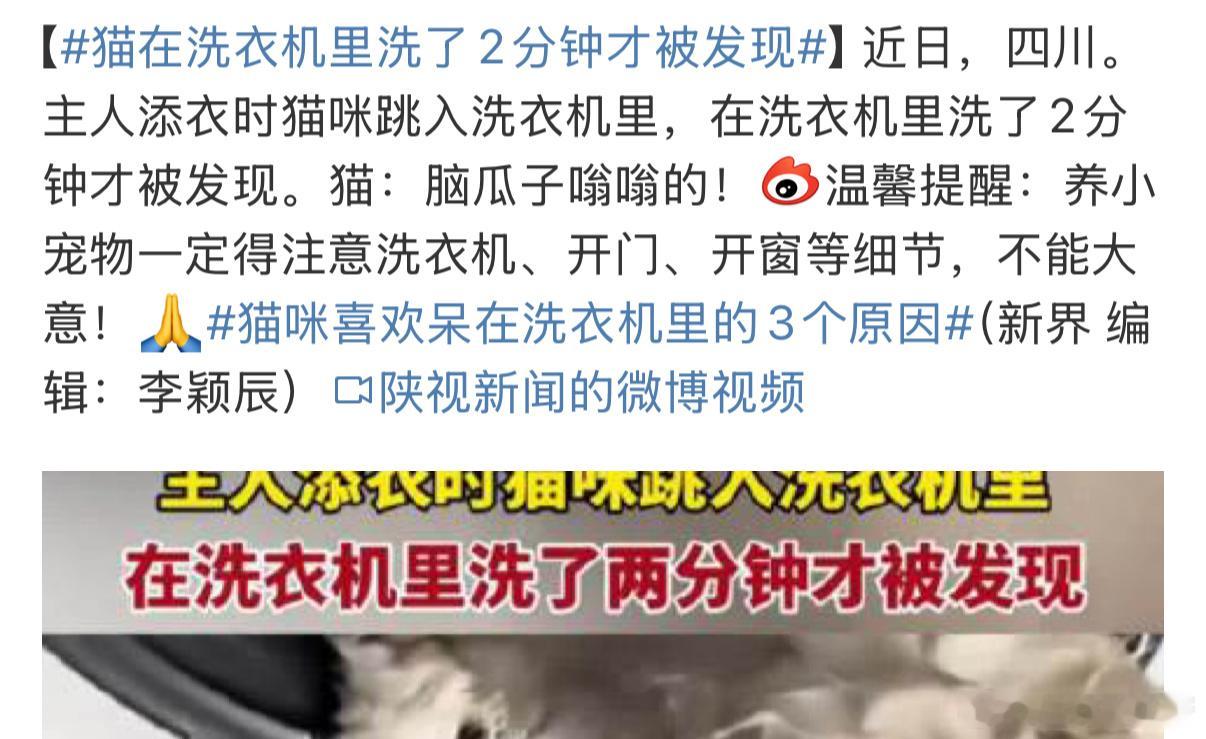 666我家猫就贼喜欢跑进厨房导致我每次进厨房就是开关一气呵成不敢停留，不然就要被