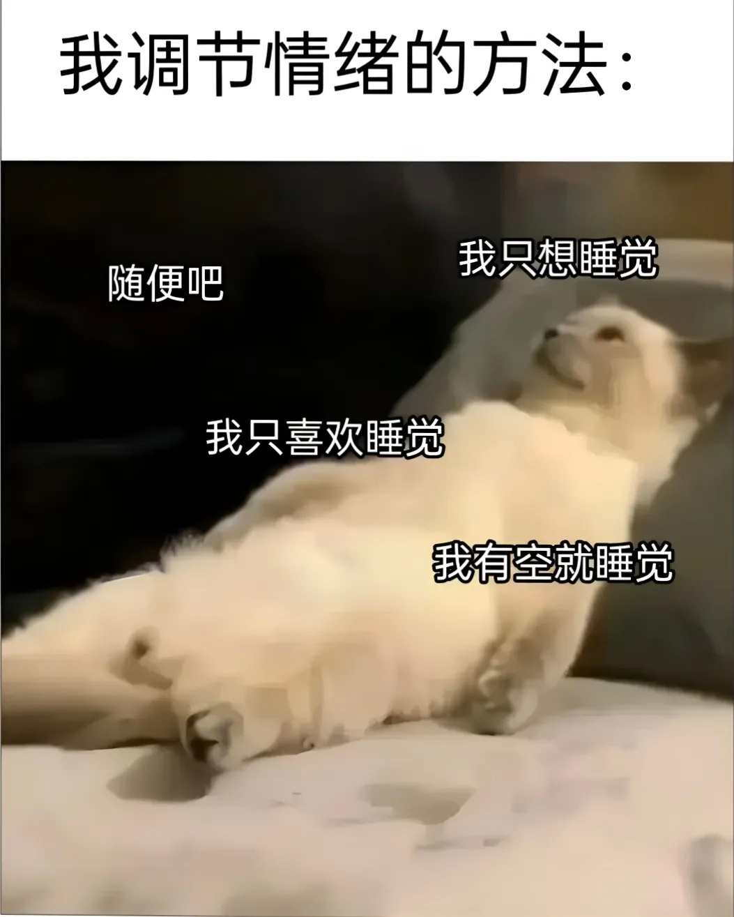 睡觉可以解决很多问题memes