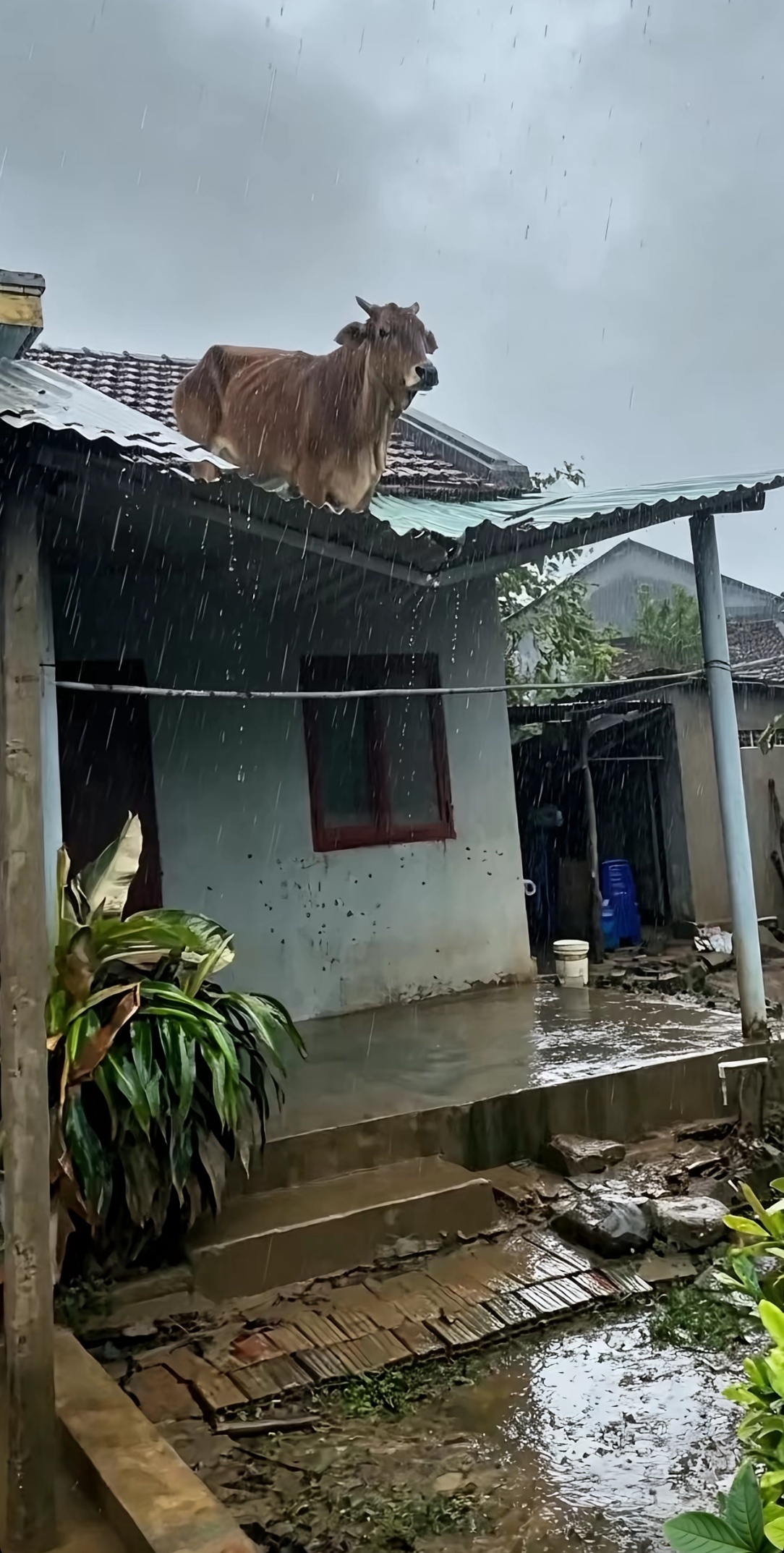 好忧郁 