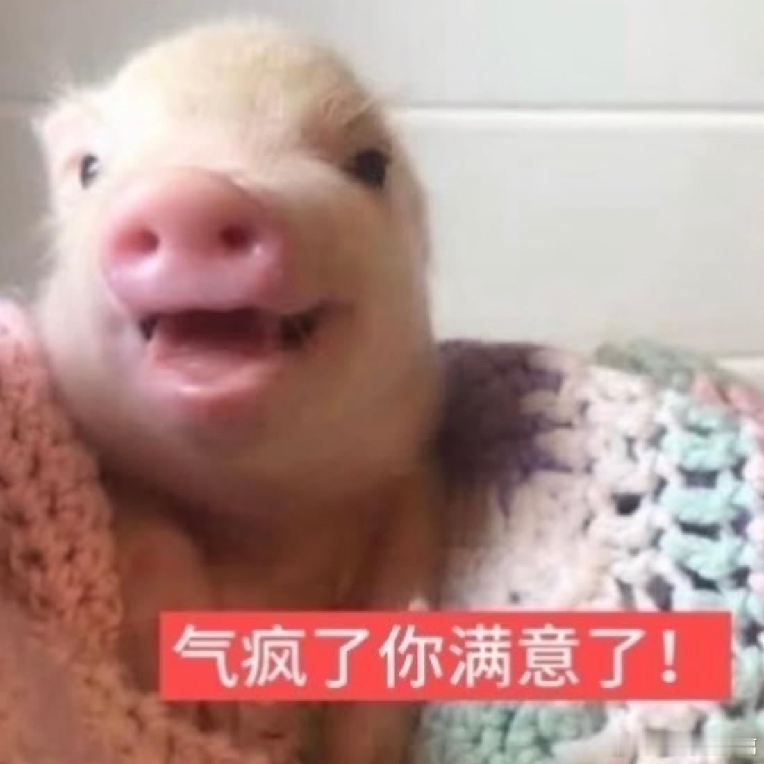 再也不发超话了，ydl比我主页白帖还低已气哭 