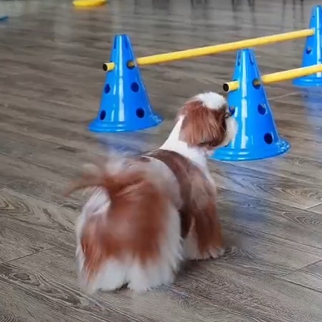 一辆卡车 ​​​