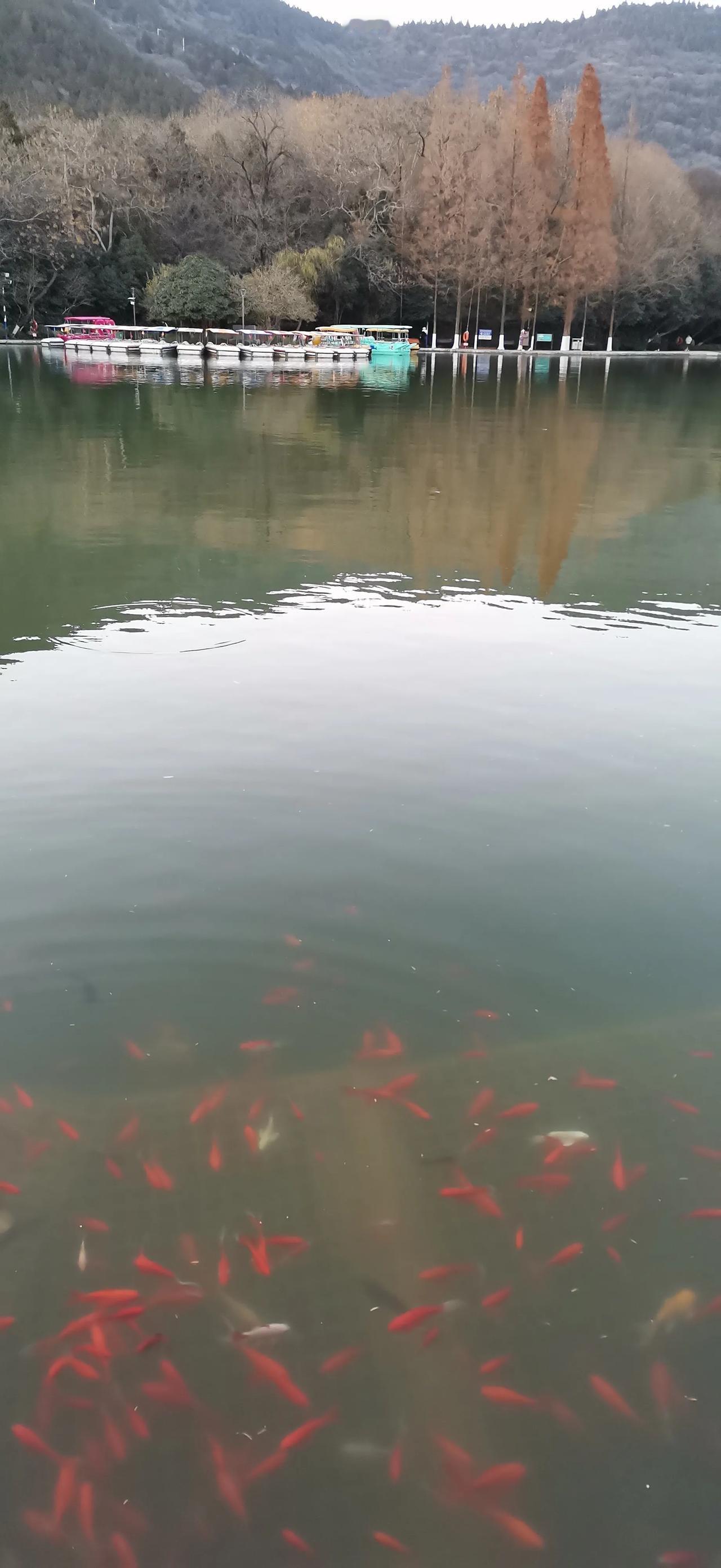 公园随手拍