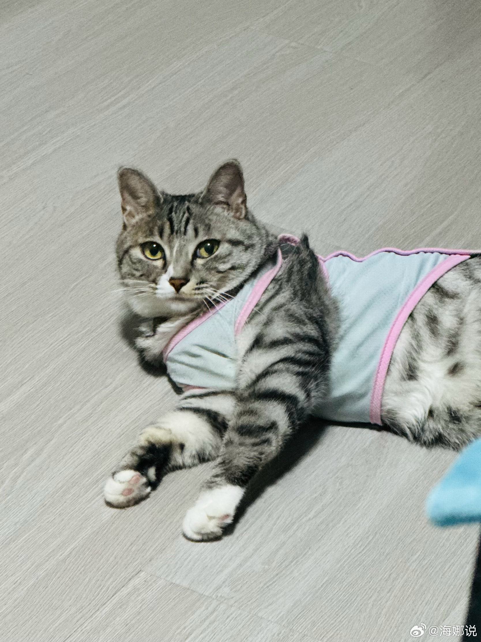 人的成长过程是自恋——偏执——回避，投射在外，就会经历自恋型、偏执型和回避型。 