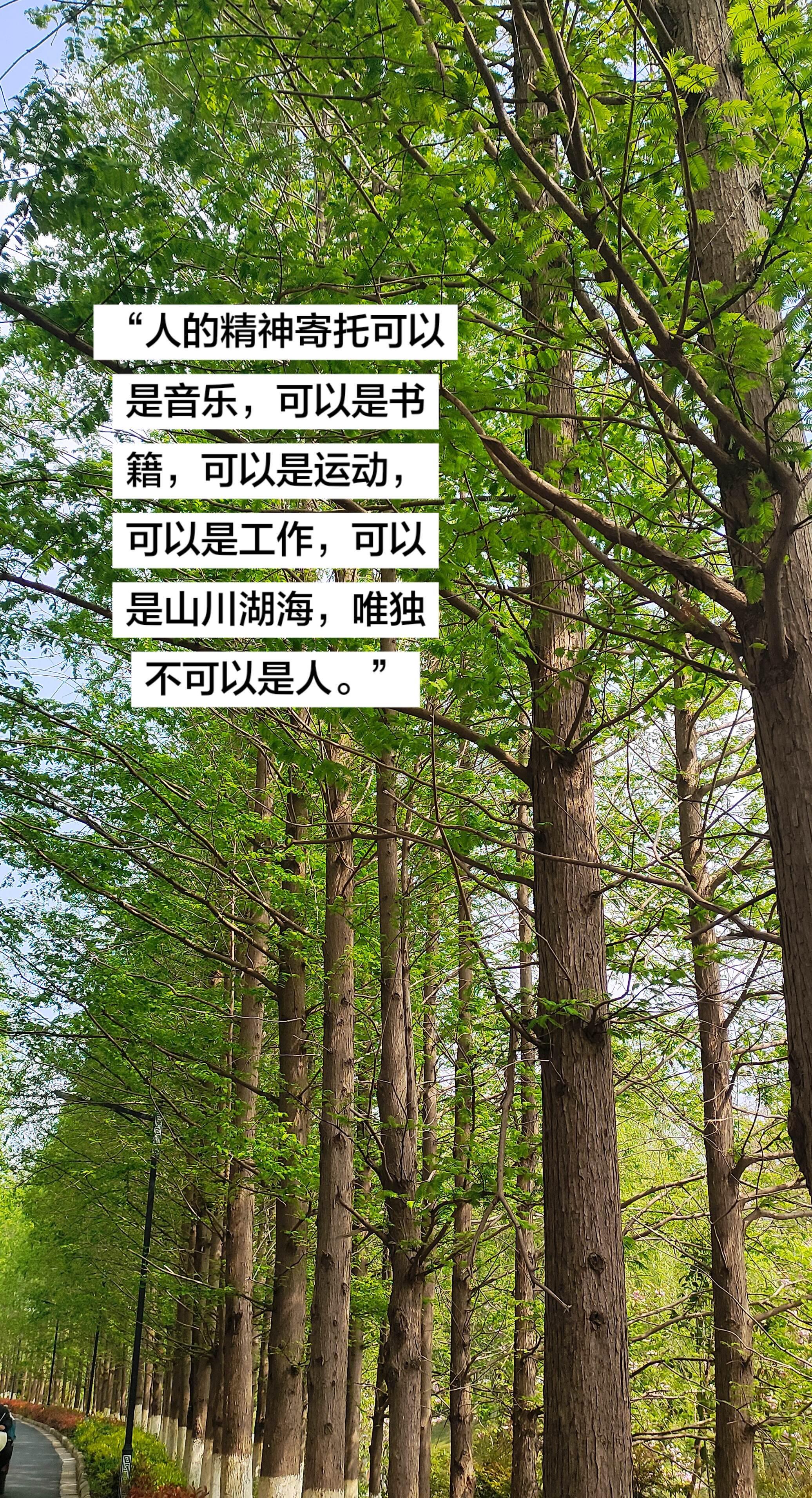 明知不可为而为之 是我最大的诚意。我没有不甘心，只是这个结局，配不上我...