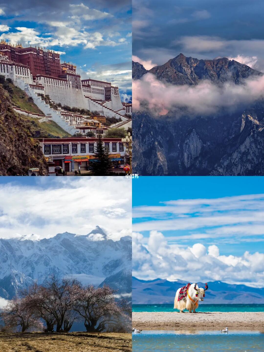 30岁一定要去的几个地方❗️❗️你去过几个？