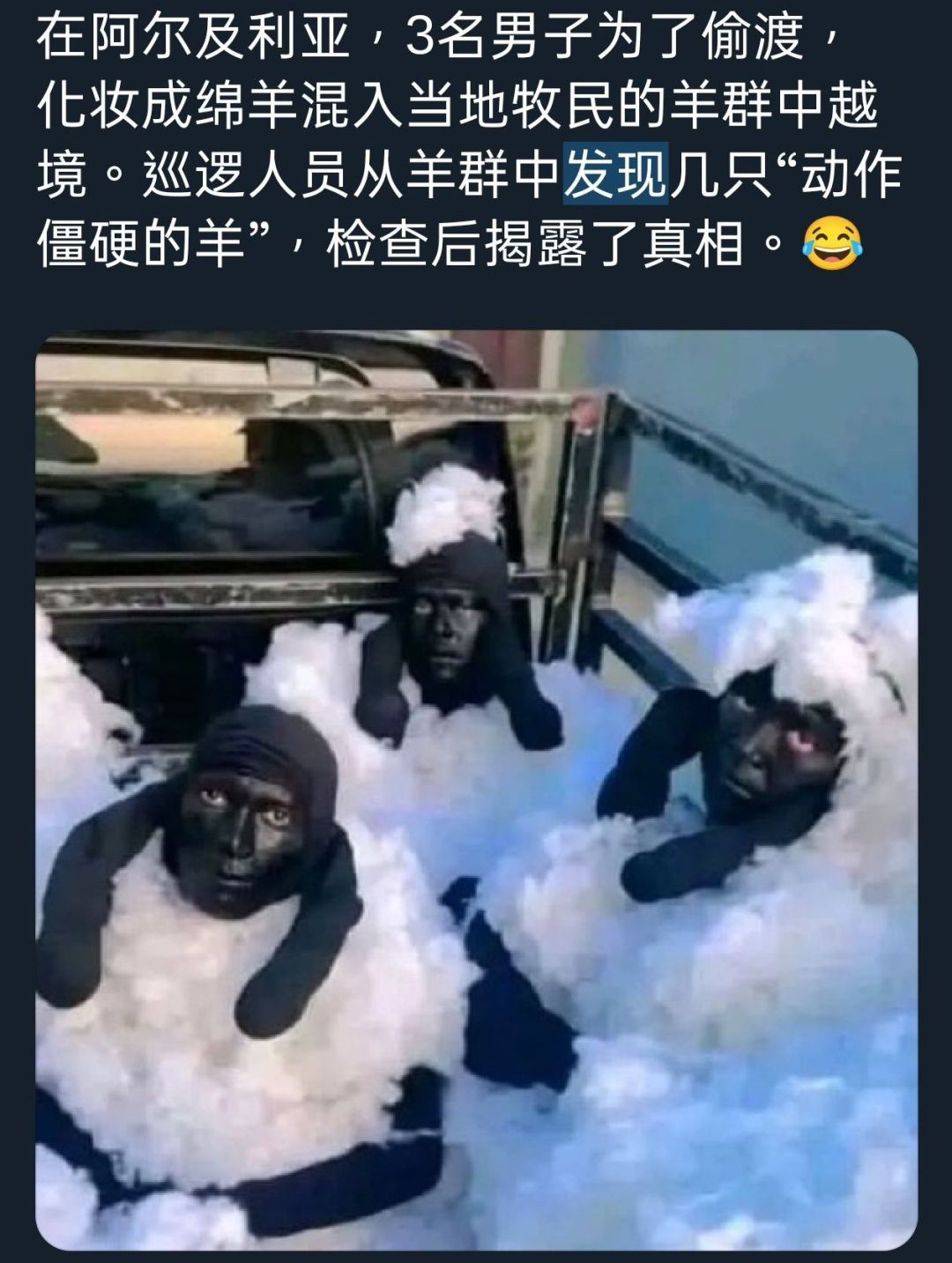 你别说还真别说 