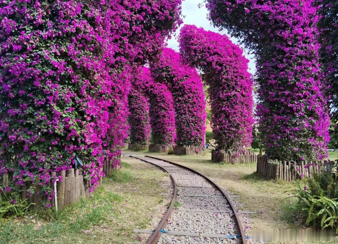 有人说，大学生家里有矿的或者一穷二白，适合创业好的创业者往往是现实的理想主义者，