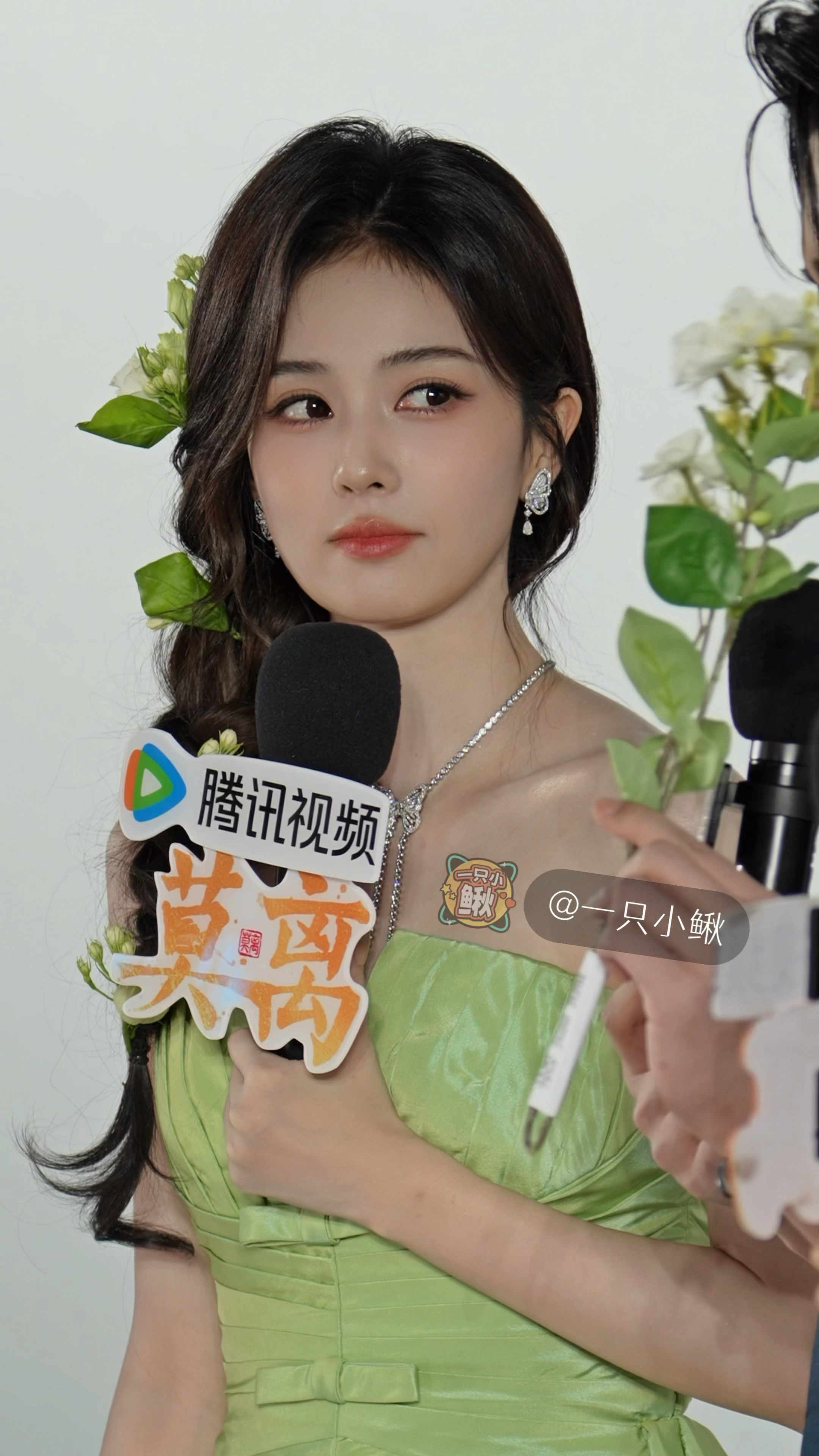 白鹿 追剧团live图 白鹿