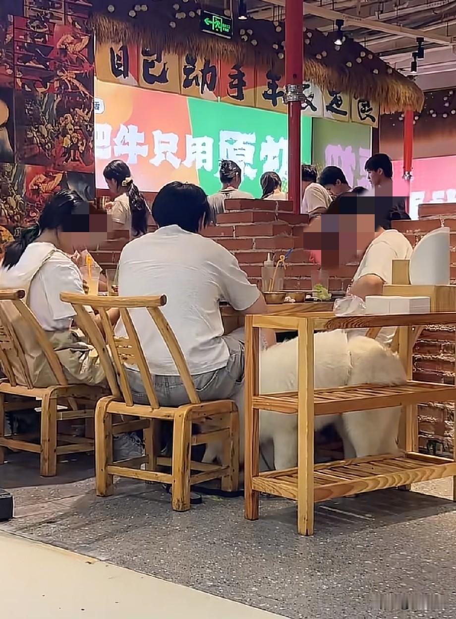 宠物狗又被带进餐厅，浙江宁波的朋友们可要避坑啦。

6月22日，有网友发布视频曝