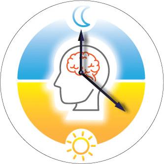 早起还是晚睡，这可以说是两种生活方式。研究发现人在青少年的时候通常晚睡，不仅仅是