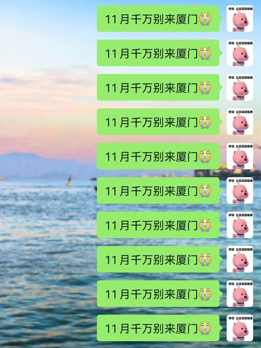 说实话🙅‍♀️11-12月要不要来厦门❓听劝