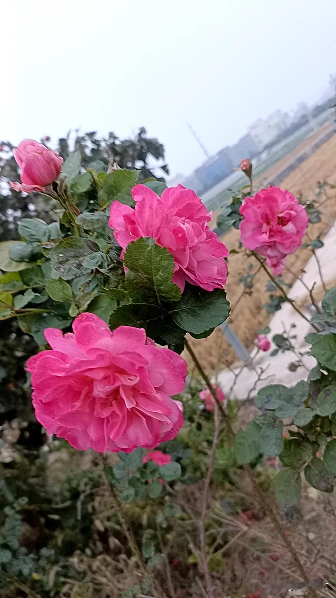 【今日要闻】
1.神十八带70斤“太空特产”,涉28项实验
2.印尼突发!最高警