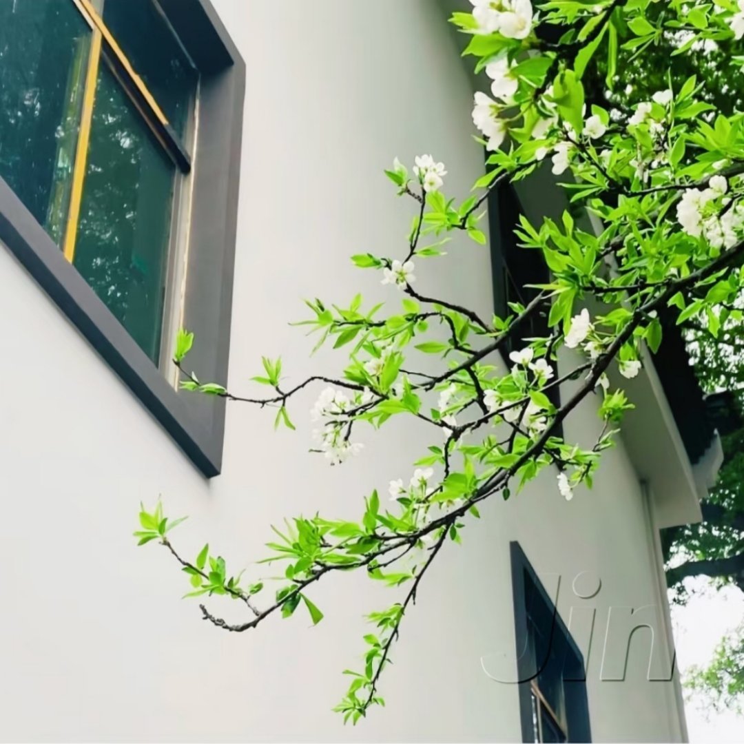 WeChat套图 | 头像背景图搭配 | 高质氛围感女头 