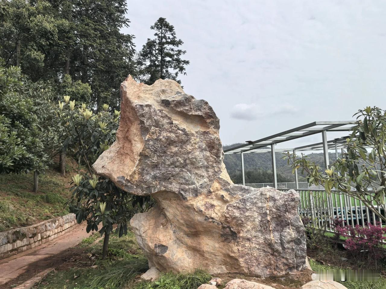 贺新郎.重读《七绝.贾谊》有怀
（2025年4月1日）
洛水惊涛泼。问苍茫、长安