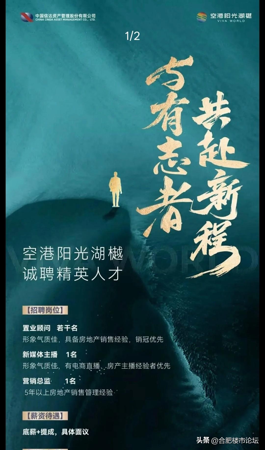 合肥空港以前恒大的烂尾盘，现在换了开发商又要来卖，错过时机了，又是远郊大盘，还被