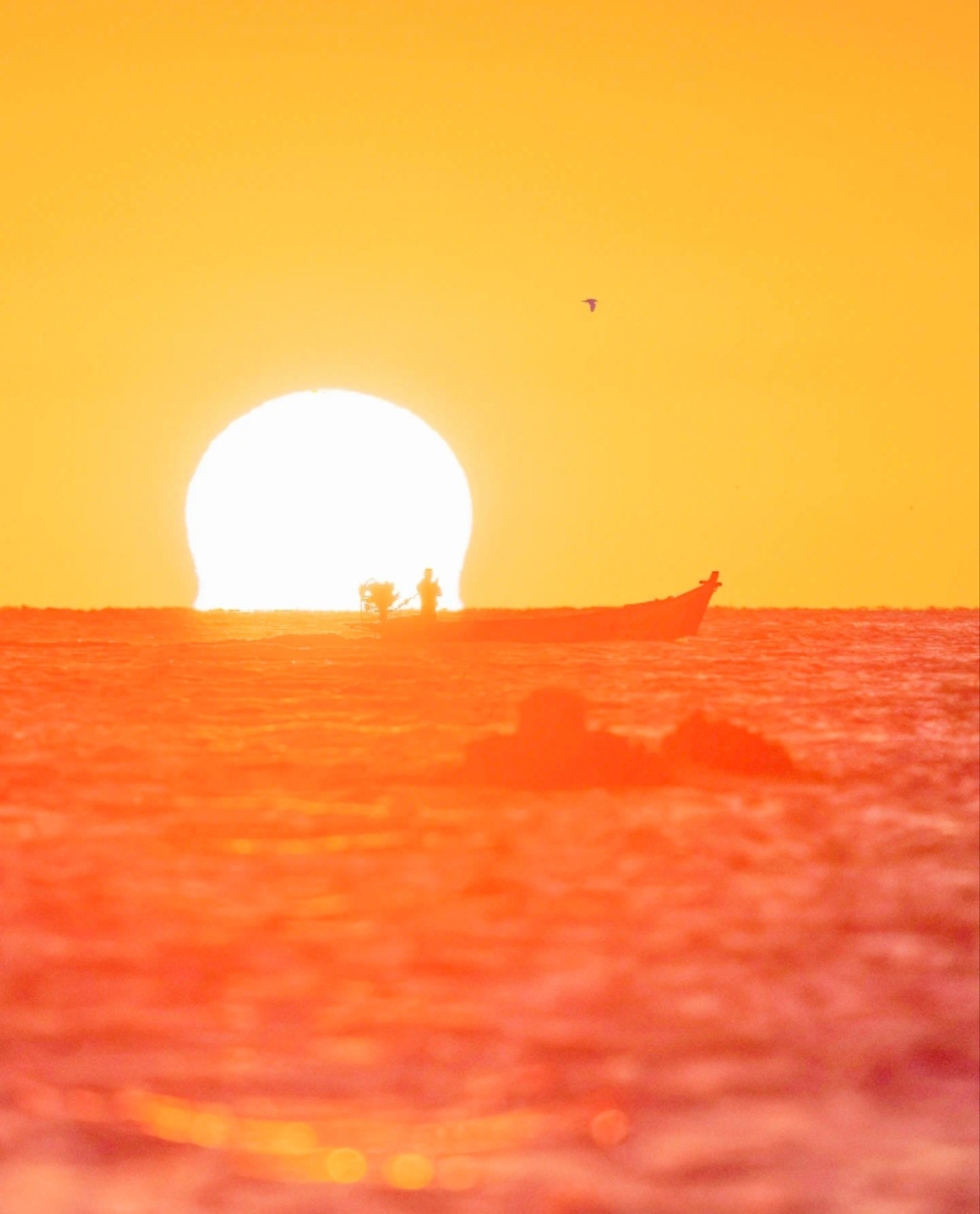 “ 转 · 四海呈祥 ... ” ​​​