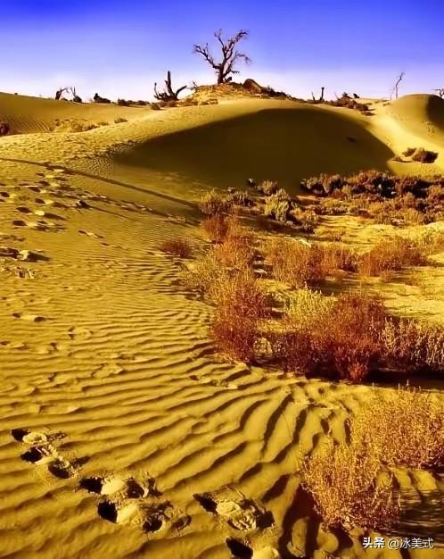 为什么现在要大规模的治理塔克拉玛干大沙漠，一个33万平方公里区域。因为以色列可以