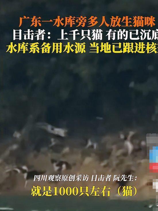 这些人不是放生，是杀生，不仅没福报，还会遭天谴吧。马上就冬天了，水库区域荒无人烟