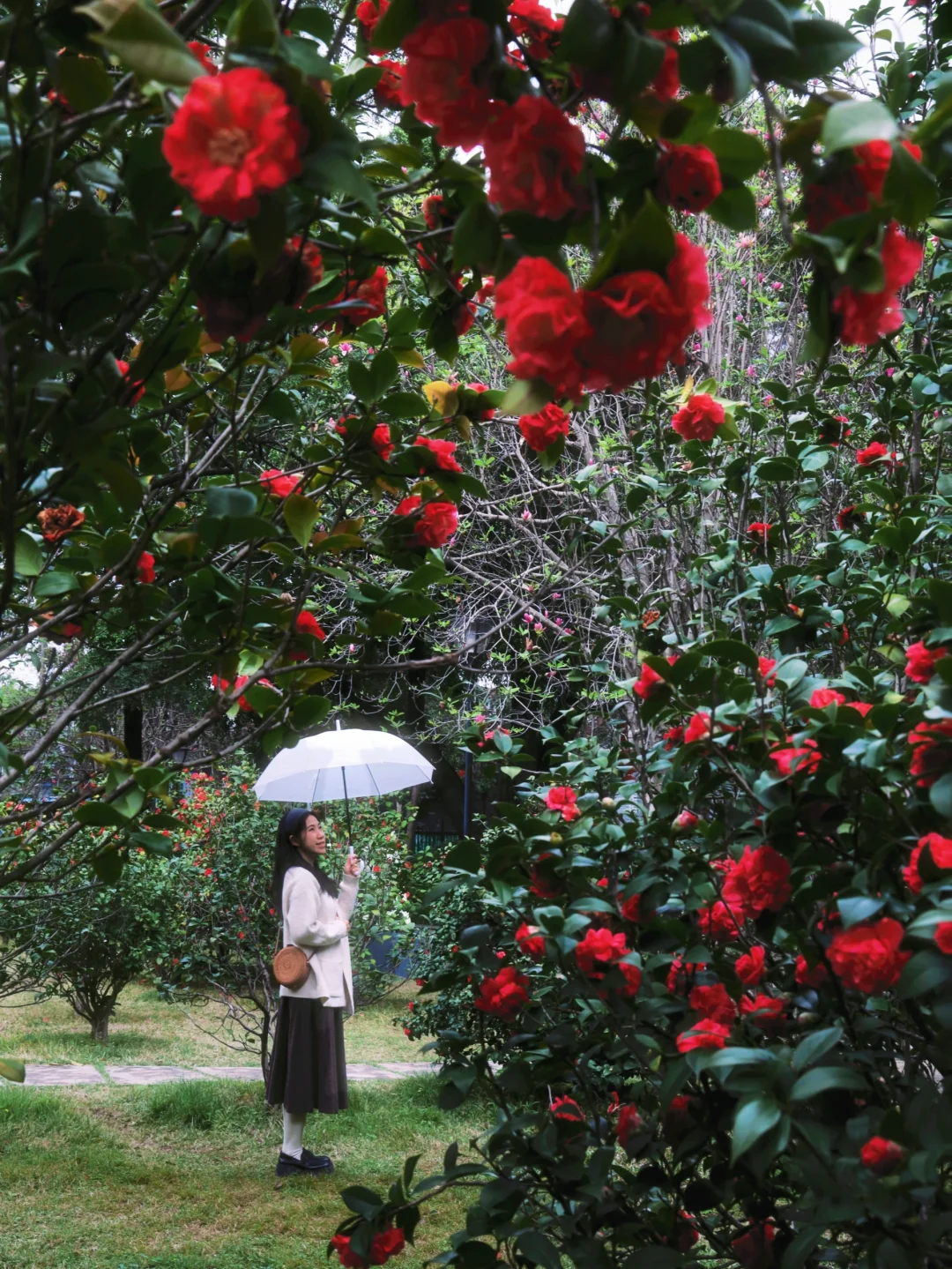 记住广州这里…🌹雨天拍照氛围感💯地铁直达