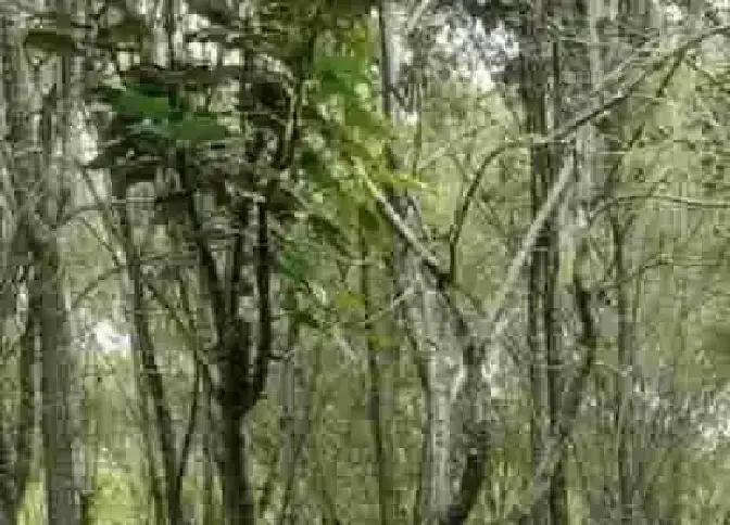 一个普通网友在微博发长图说自己靠写日记和周末去爬山把焦虑值从七压到三。
配图是书