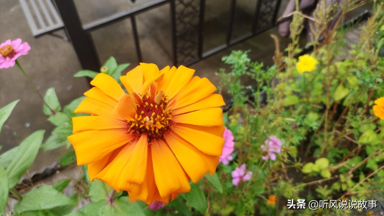 ❤️有的人认为干苦力是吃苦，这只是最低级的吃苦，那是体力上的苦，还拉着家人吃体力