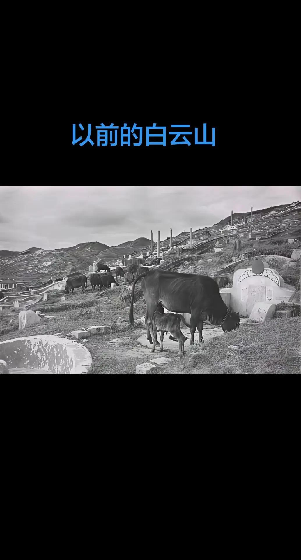 以前的白云山称为百魂山