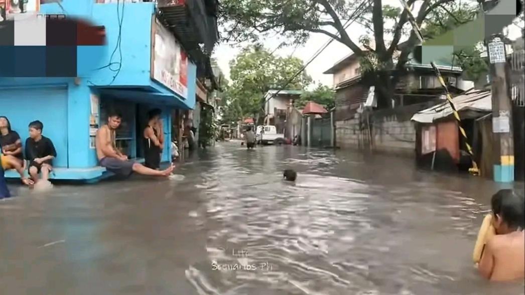 中国向菲律宾灾区提供援助的消息了引起了网友们的关注和热议，评论区里各抒己见，大部