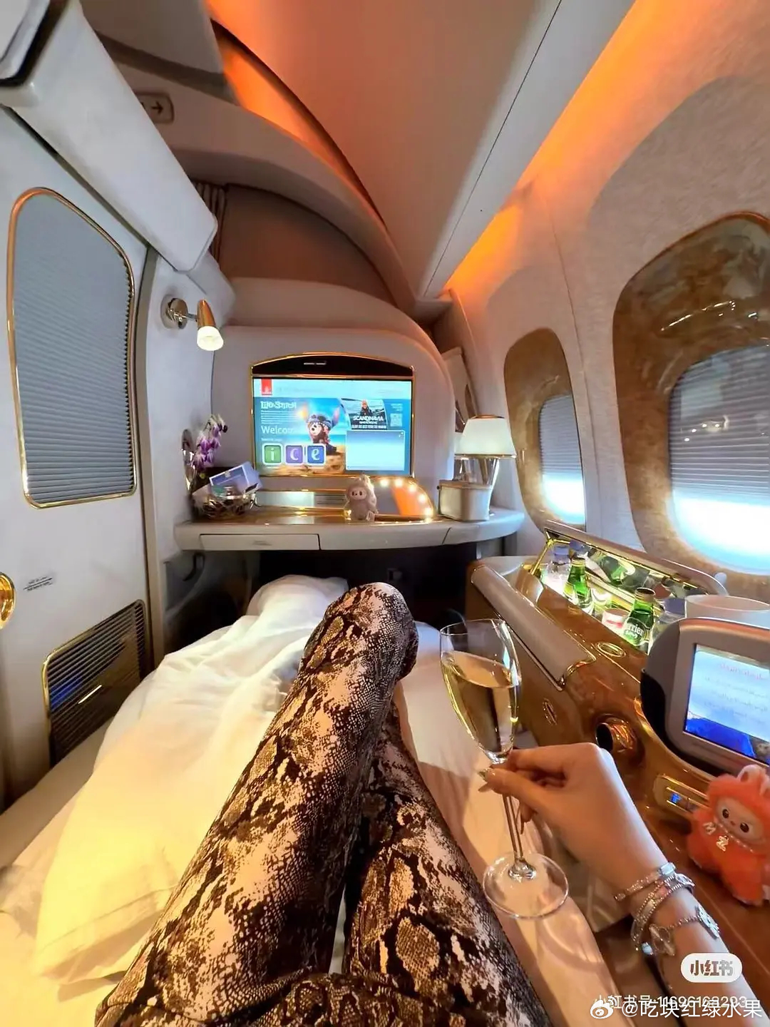 阿联酋头等舱很多人拍vlog啊，之前就刷到了，这个航空头等舱服务特别好。某些粉丝