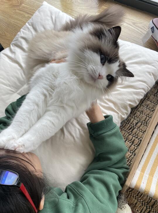 虽然你不让抱🙂🙃