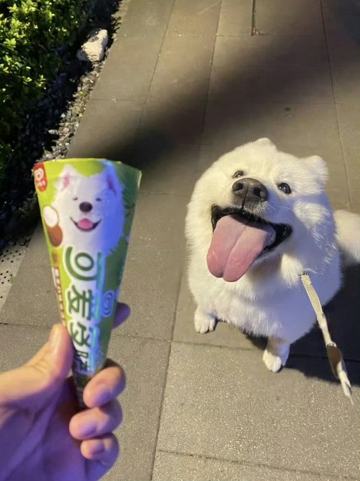 狗子：妈妈，尝尝我代言的甜筒🍦[憧憬] ​ ​​​