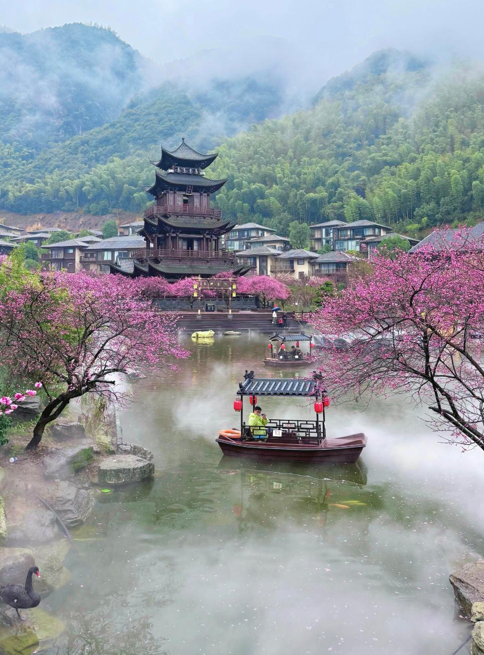 最好的养生就一个字:躲。
 
很多人养生花大价钱买保健品、熬夜追剧补觉、逼自己每