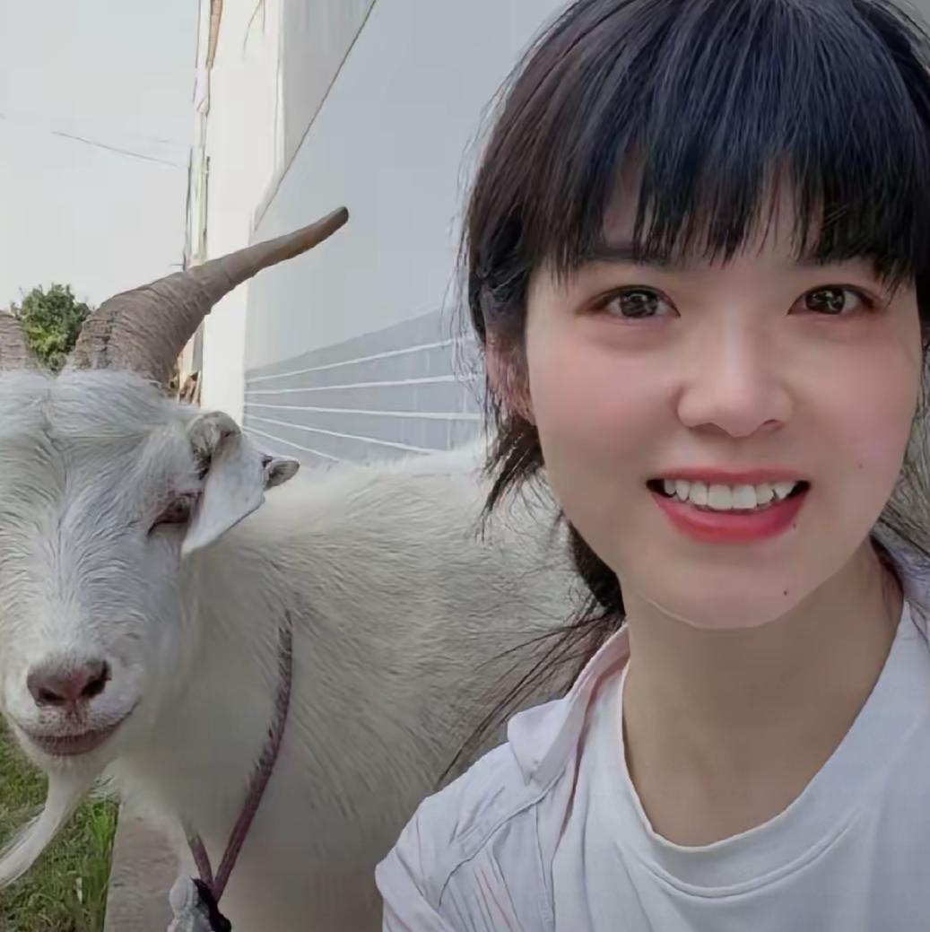 西安女孩和小羊，最新后续！
女孩个人账号改了称昵，头像也换了，所有关于小羊的视频