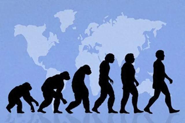 若人类全部灭绝，数亿年后，地球上有可能再次进化出人类吗？
