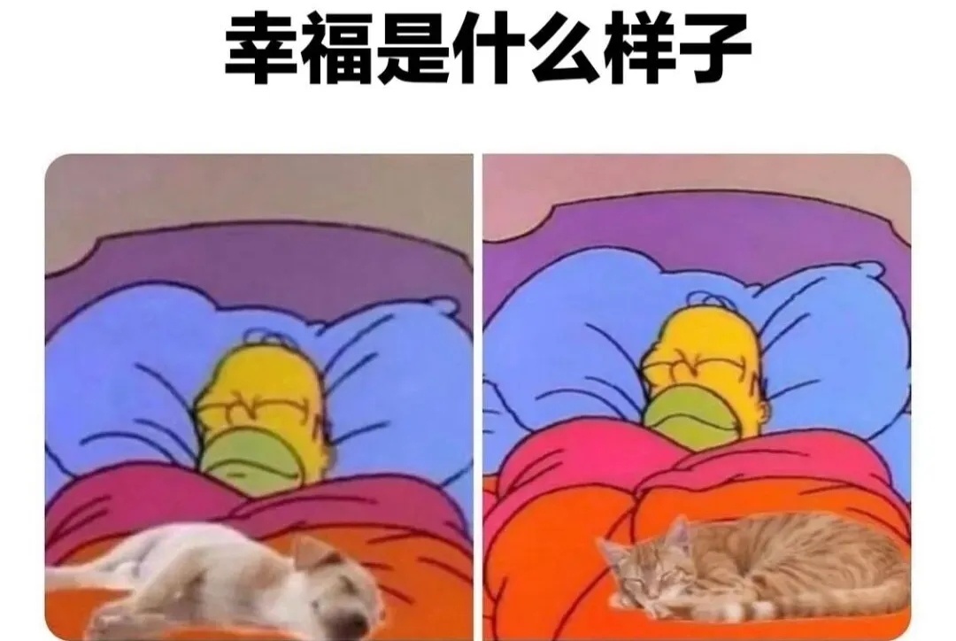 幸福就是有你们陪在我的身边🥰 meme  / 