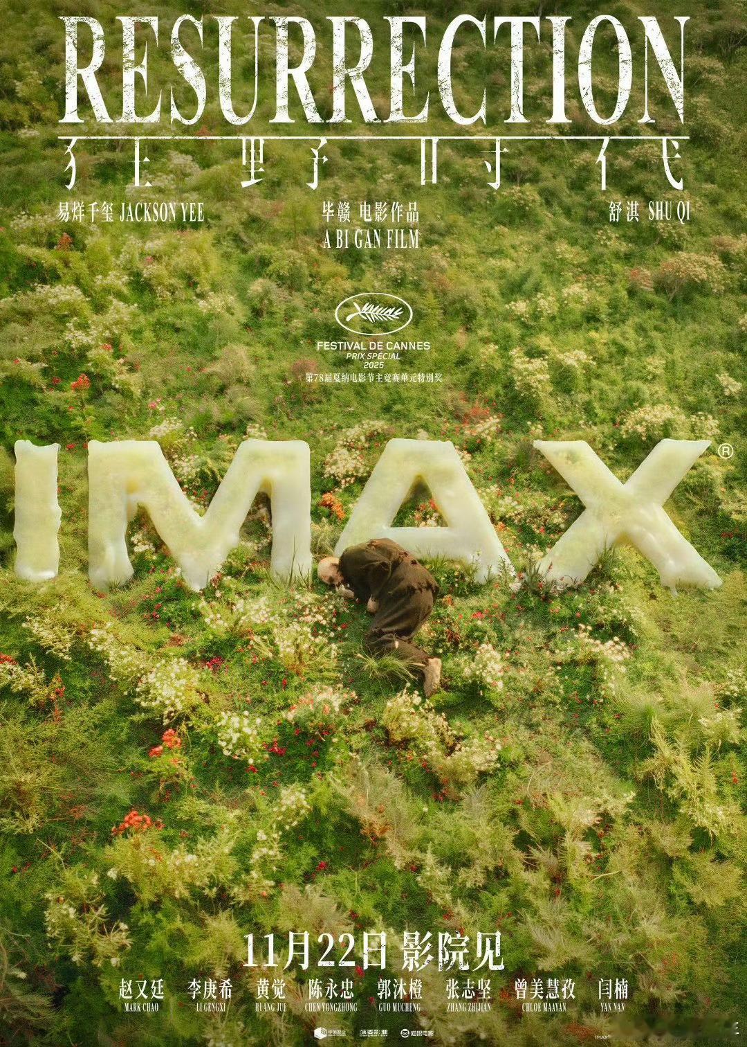 这质感真的杀疯了！融化蜡质的IMAX字样暗藏时间隐喻，花海中的“迷魂者”孤独又空