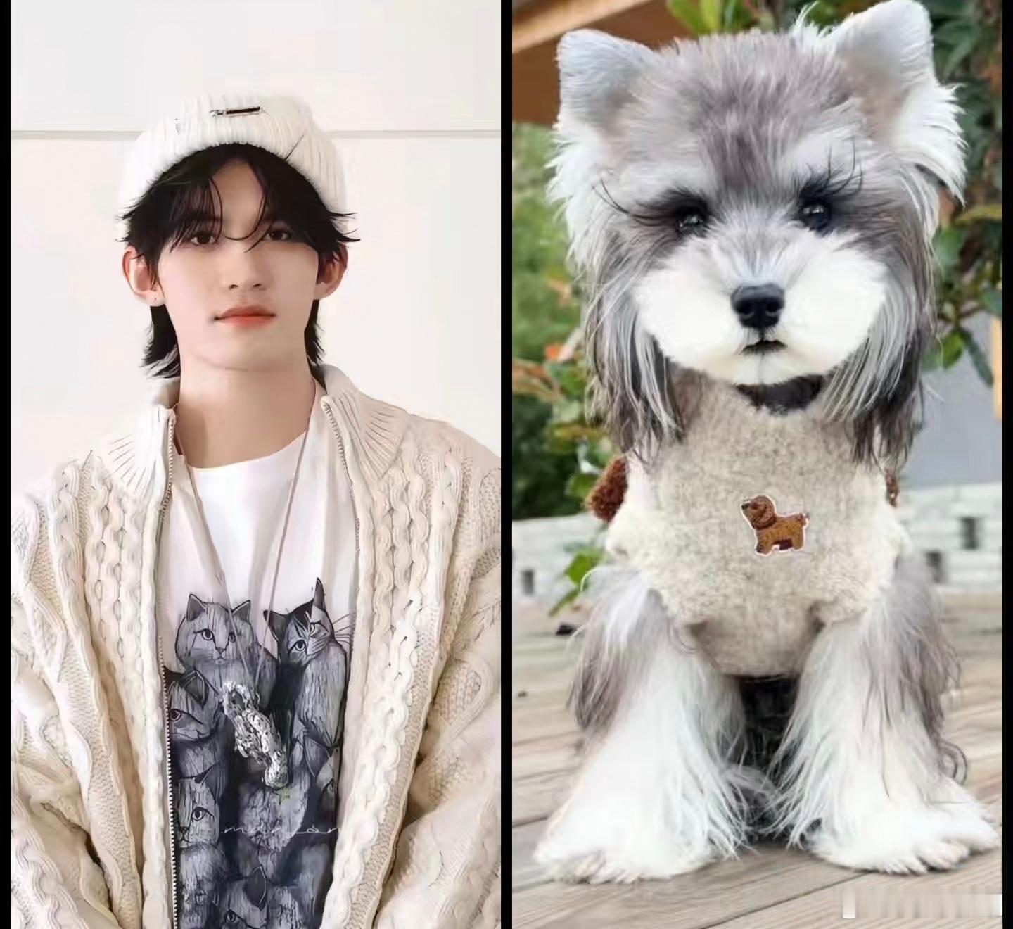 哈哈，不得不说，确实很形象，小孩哥你很多变呦，真的要笑鼠了，那一张是你最喜欢的云