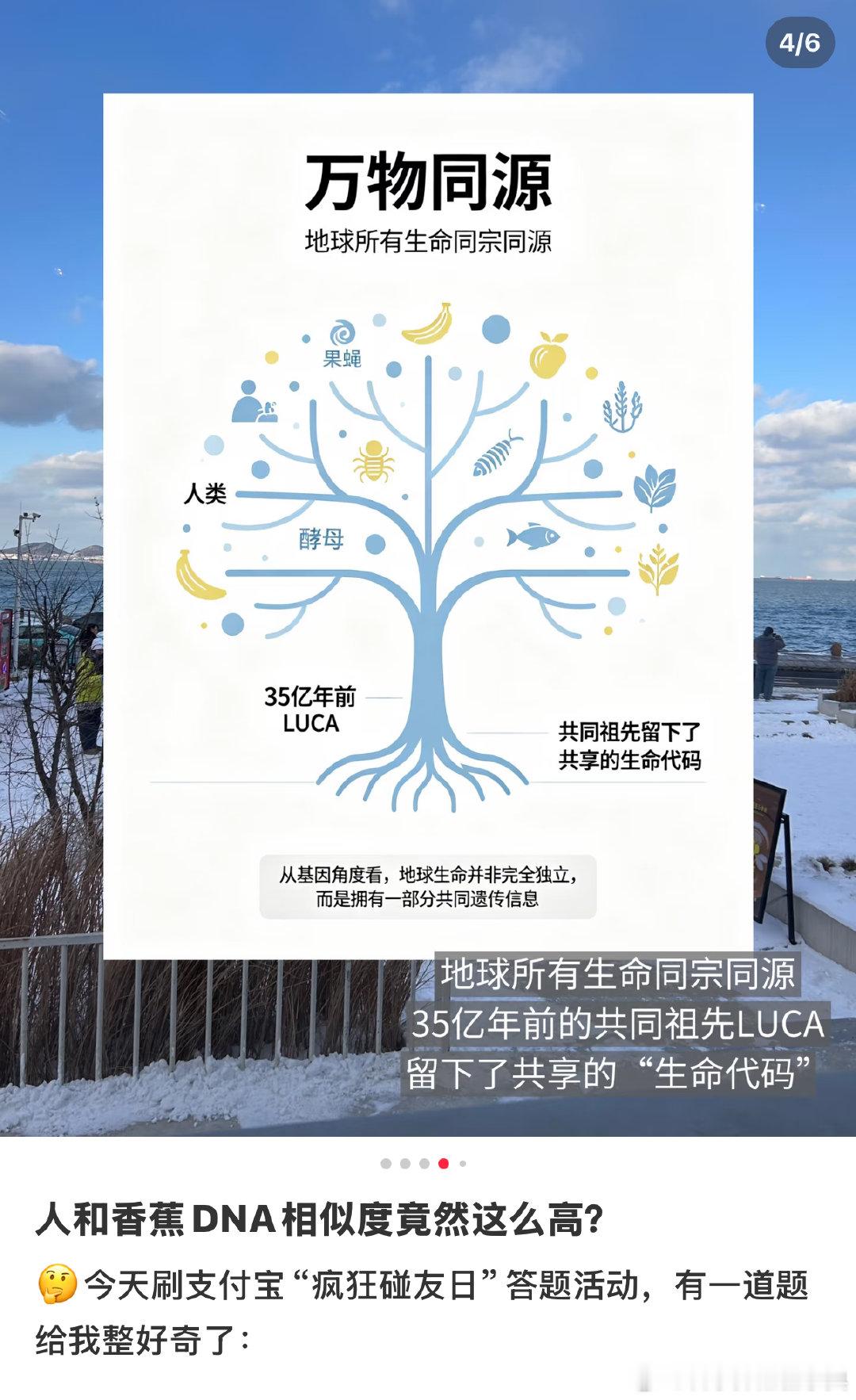 今天谁被支付宝答题的香蕉卡住了才发现那么多人做不出来支付宝答题活动的这道香蕉题？