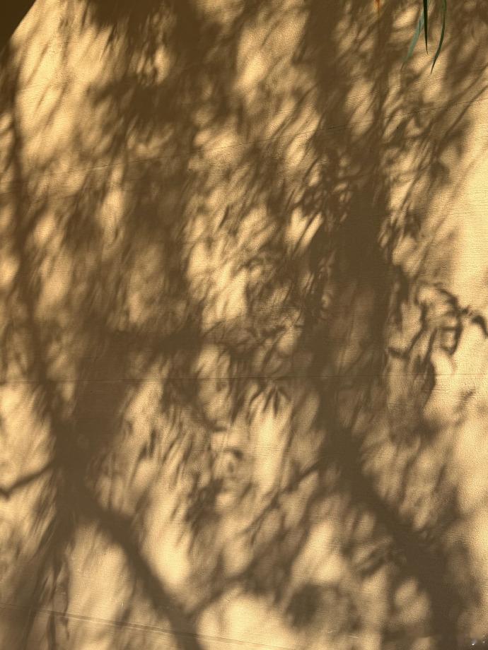 【李云霄镜头里的冬景】镜头里的冬天好温暖啊~明明是比较萧瑟的季节，但是因为这些美