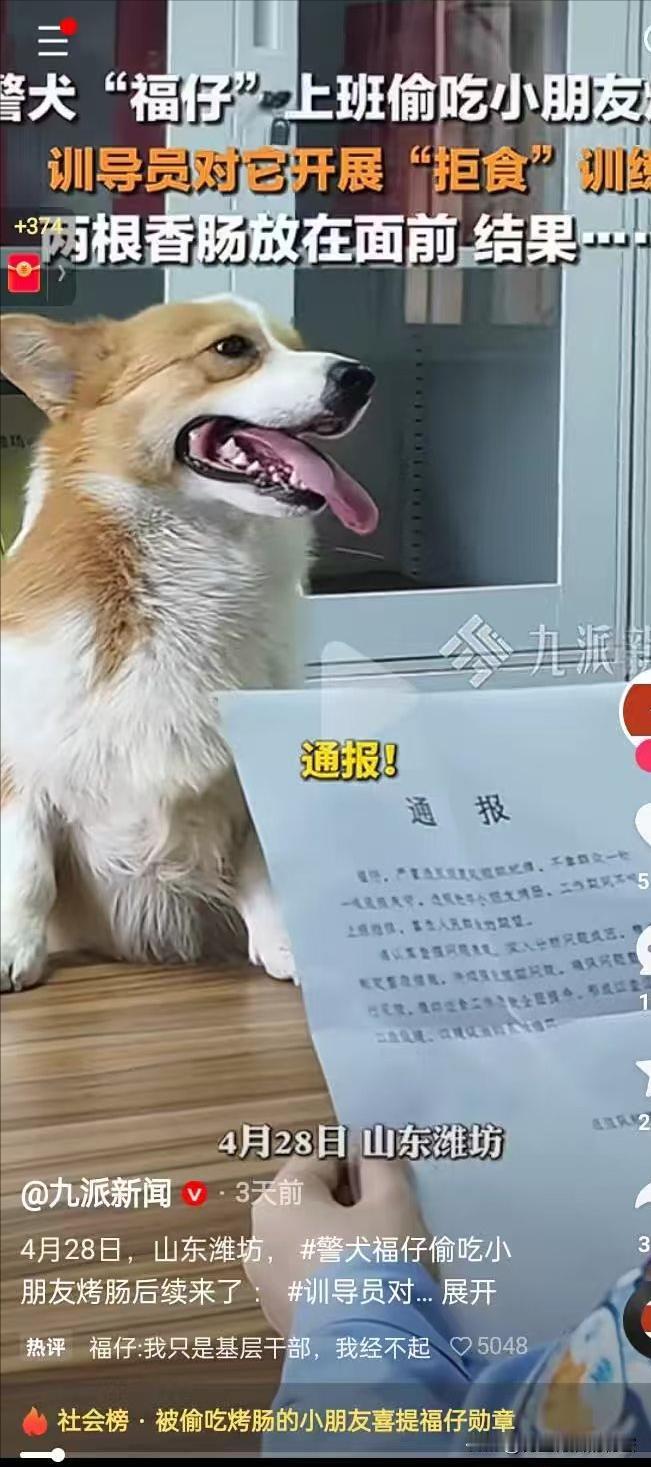 朋友们，最近被一只偷吃烤肠的福仔圈粉了，之前福仔在巡逻中偶遇小朋友手里拿着的烤肠