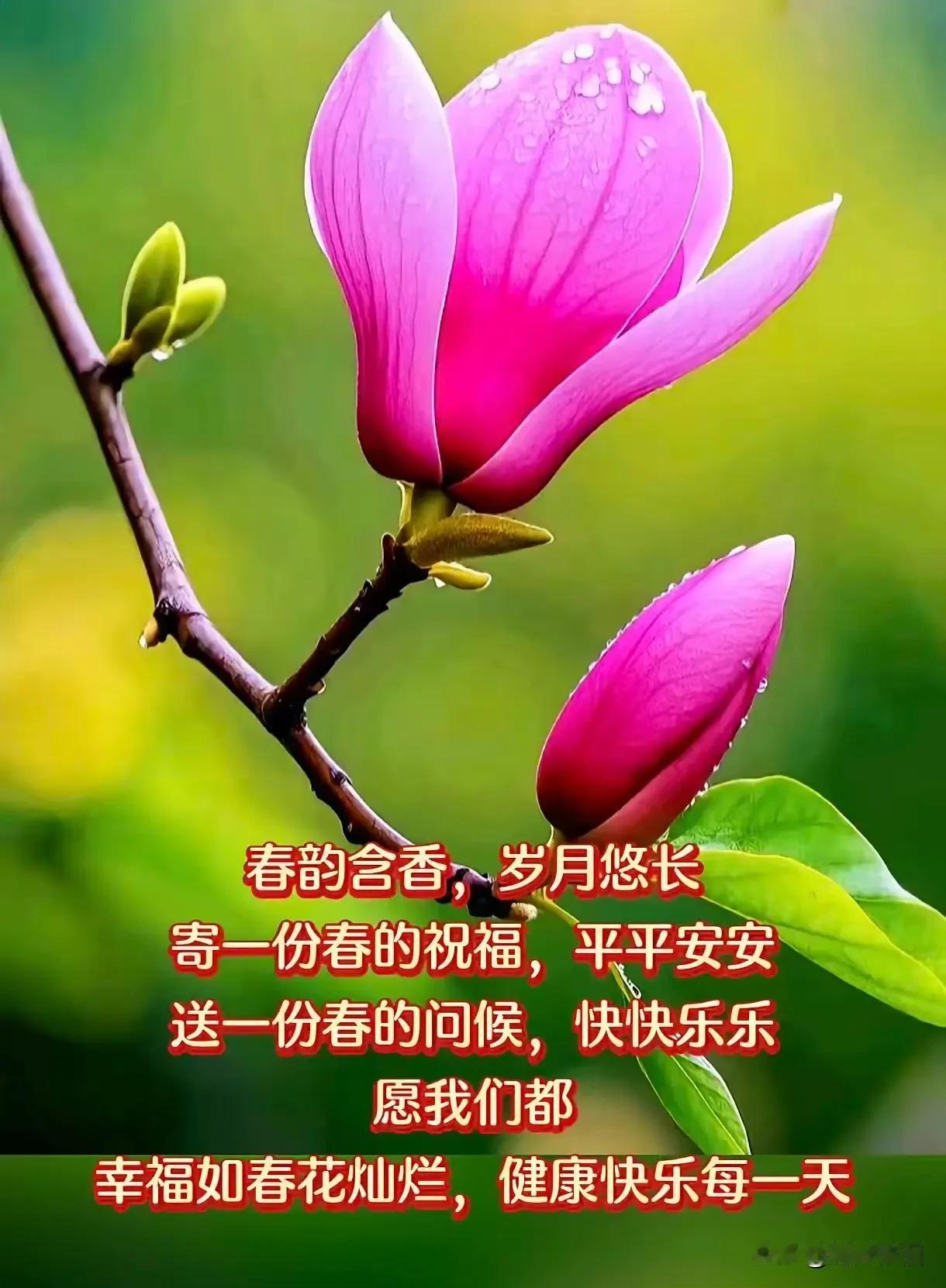 《满庭芳·情暖安康》
 
风暖马年，
花繁庭满，
晴光染透疏篁。
缘深似海，
思