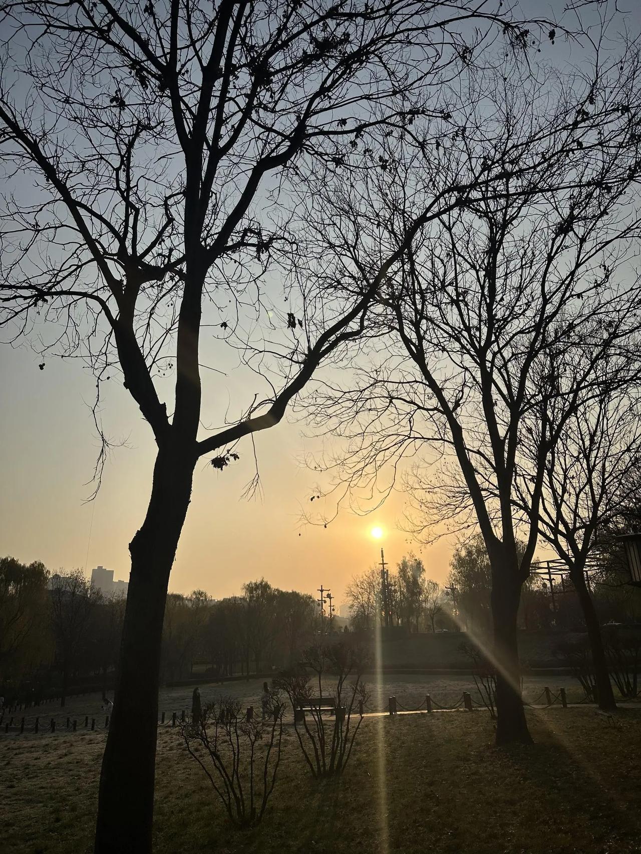 老太太在银行嫌工作人员没给她袋子，嚷着要
把卡里25万转走。前天去银行办业务，我