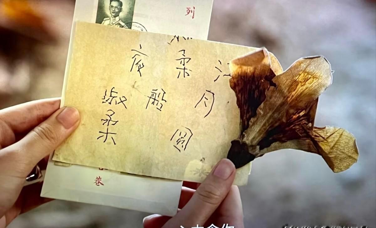 谢南枝用50年给一个陌生阿嬷写了3000封信，汇了200万，全村都骂她是“二奶”