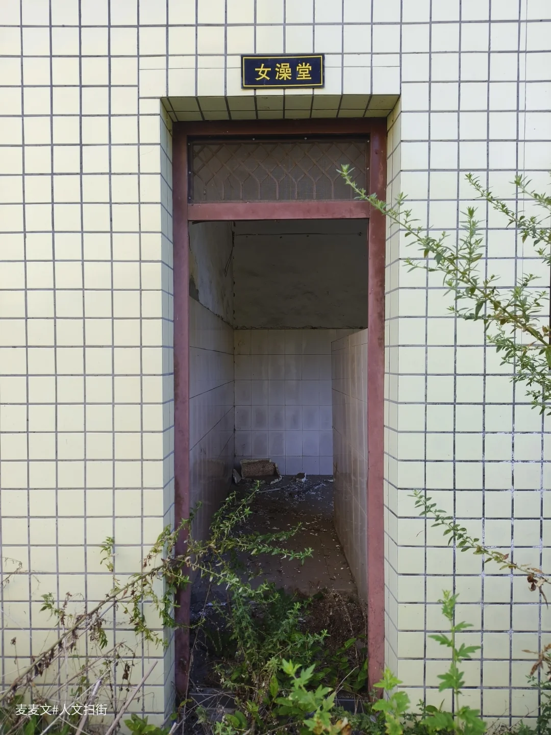 【永川】探秘又一个废了的煤矿澡堂